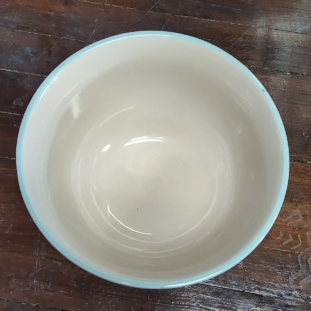 Williams Sonoma Ribbed Ceramic Bowl